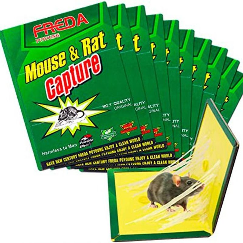 GENERICO - Trampa para capturar ratones y pericotes efectivo pack de 10