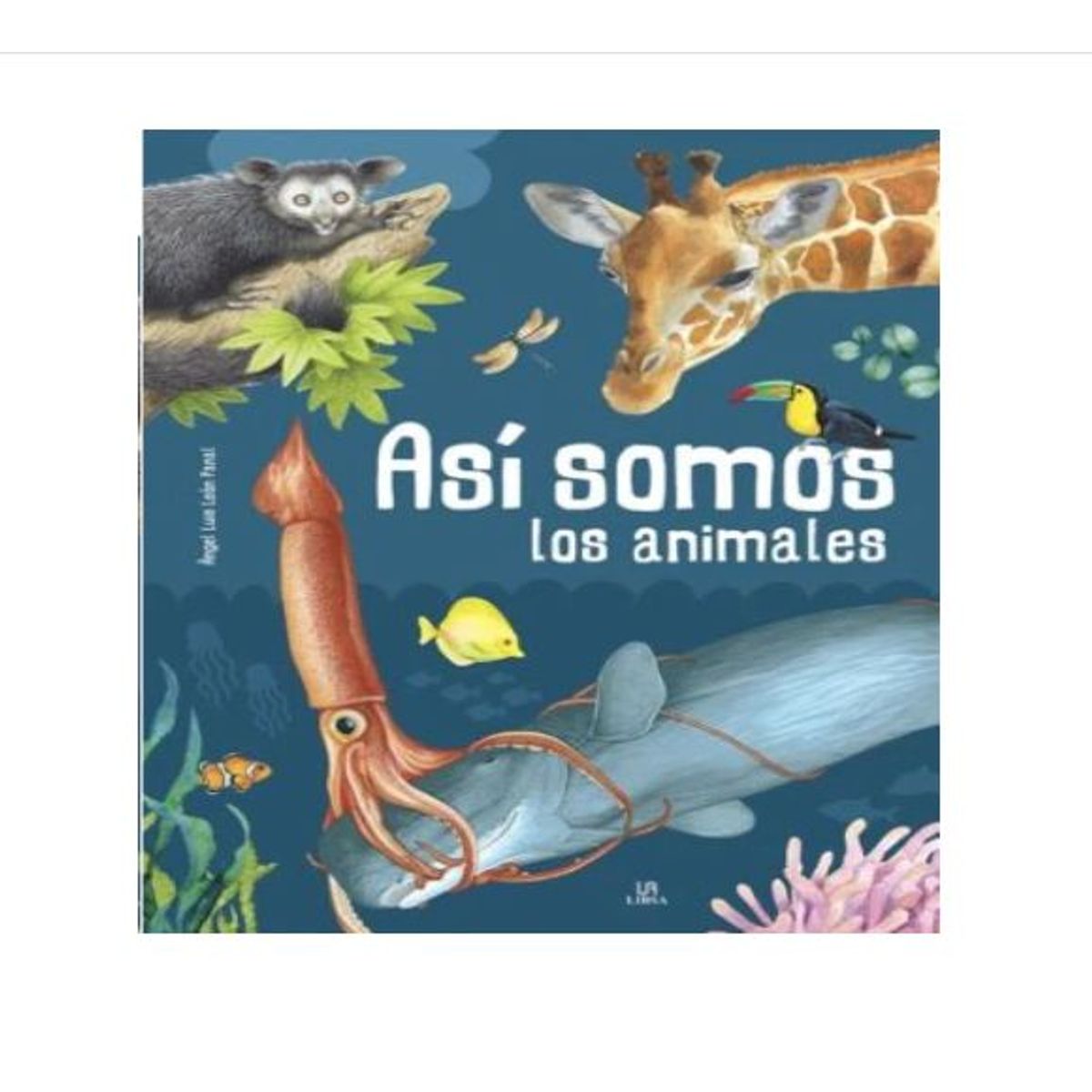 GENERICO - Libro Infantil Así Somos los Animales