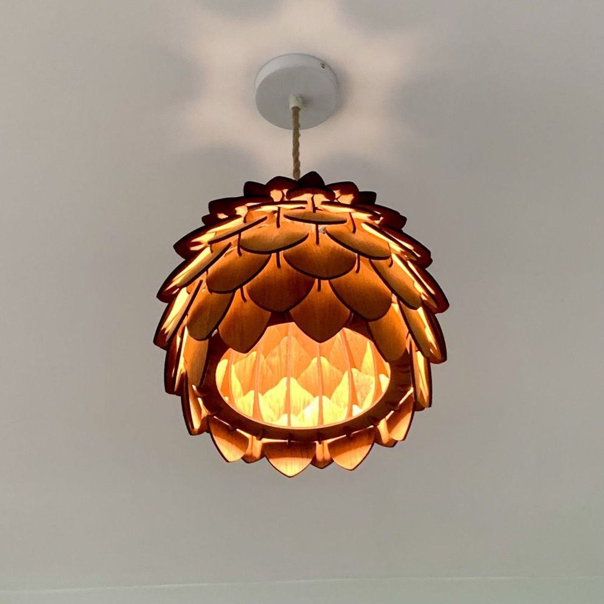 GENERICO - Lámpara Colgante Edw-Art Estudio Modelo Spore Cedro Luz Cálida