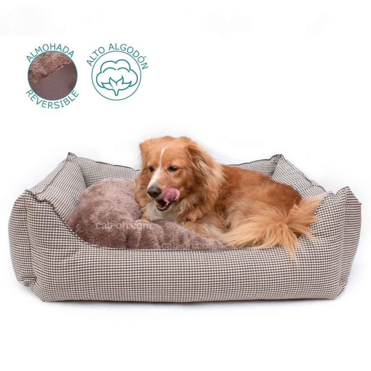 CAT OH - Cama Confort Gales Marron - Medium