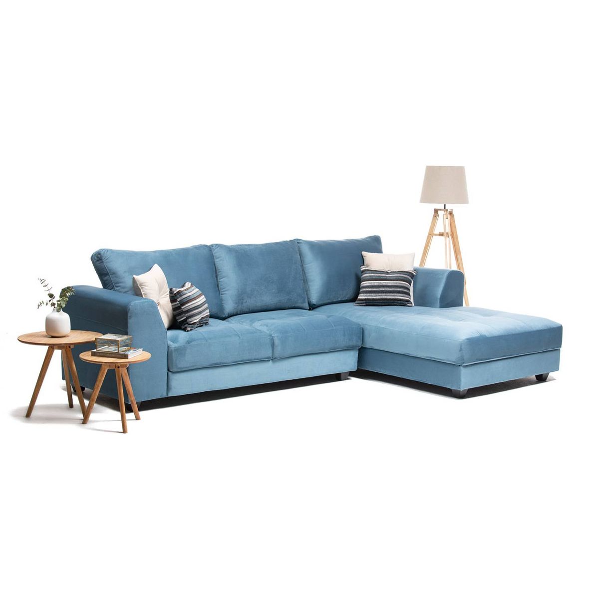 GENERICO - Seccional Derecho Palencia - Petroleo