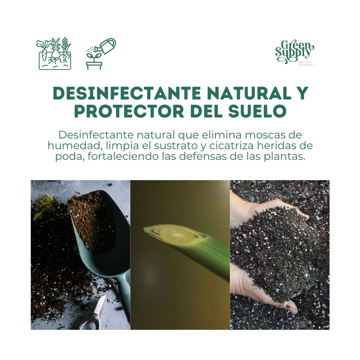 GREEN SUPPLY - Desinfectante de tierra para plantas - Bio Alga 500g