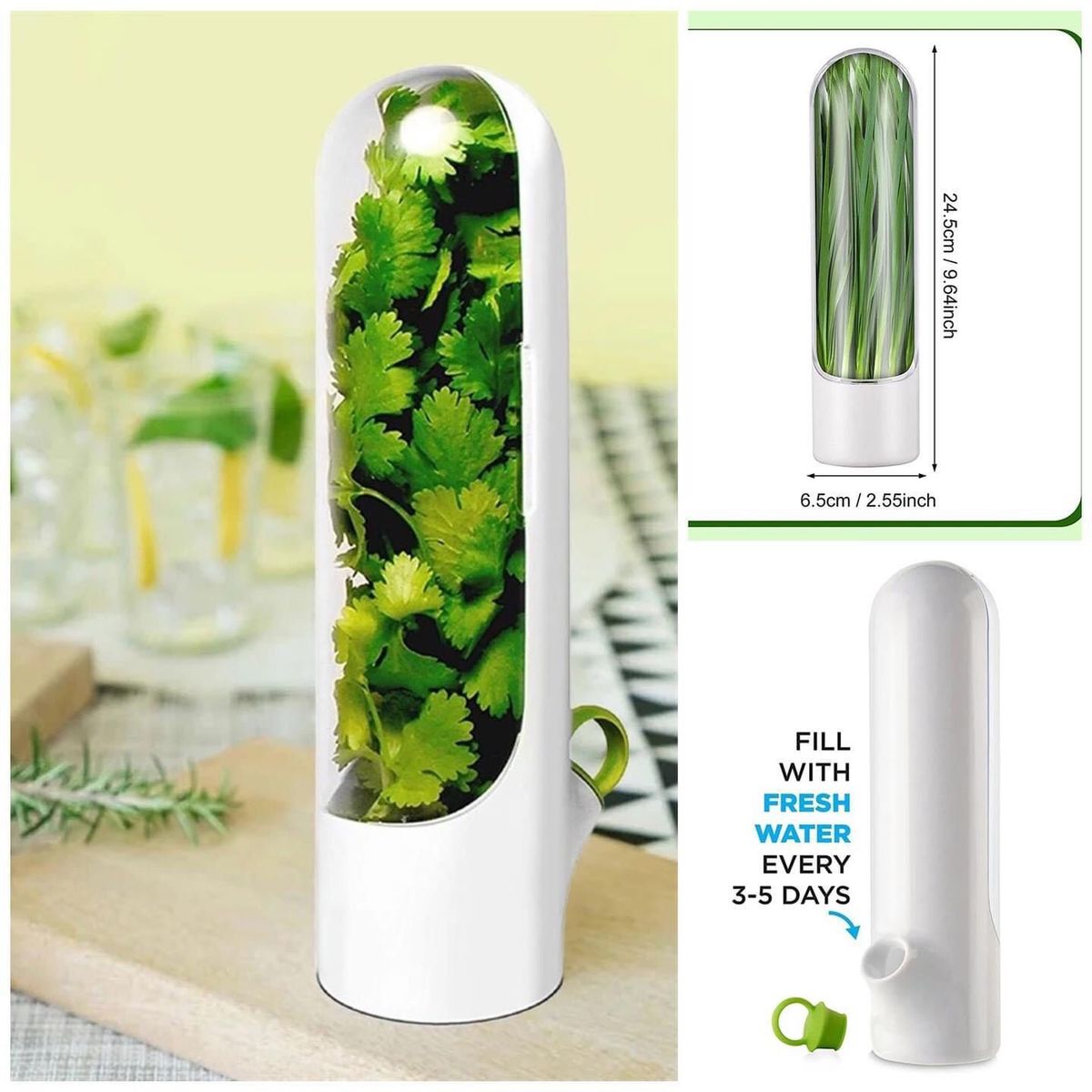 GENERICO - Conservador de hierbas verduras frescas mas tiempo Herb Saver