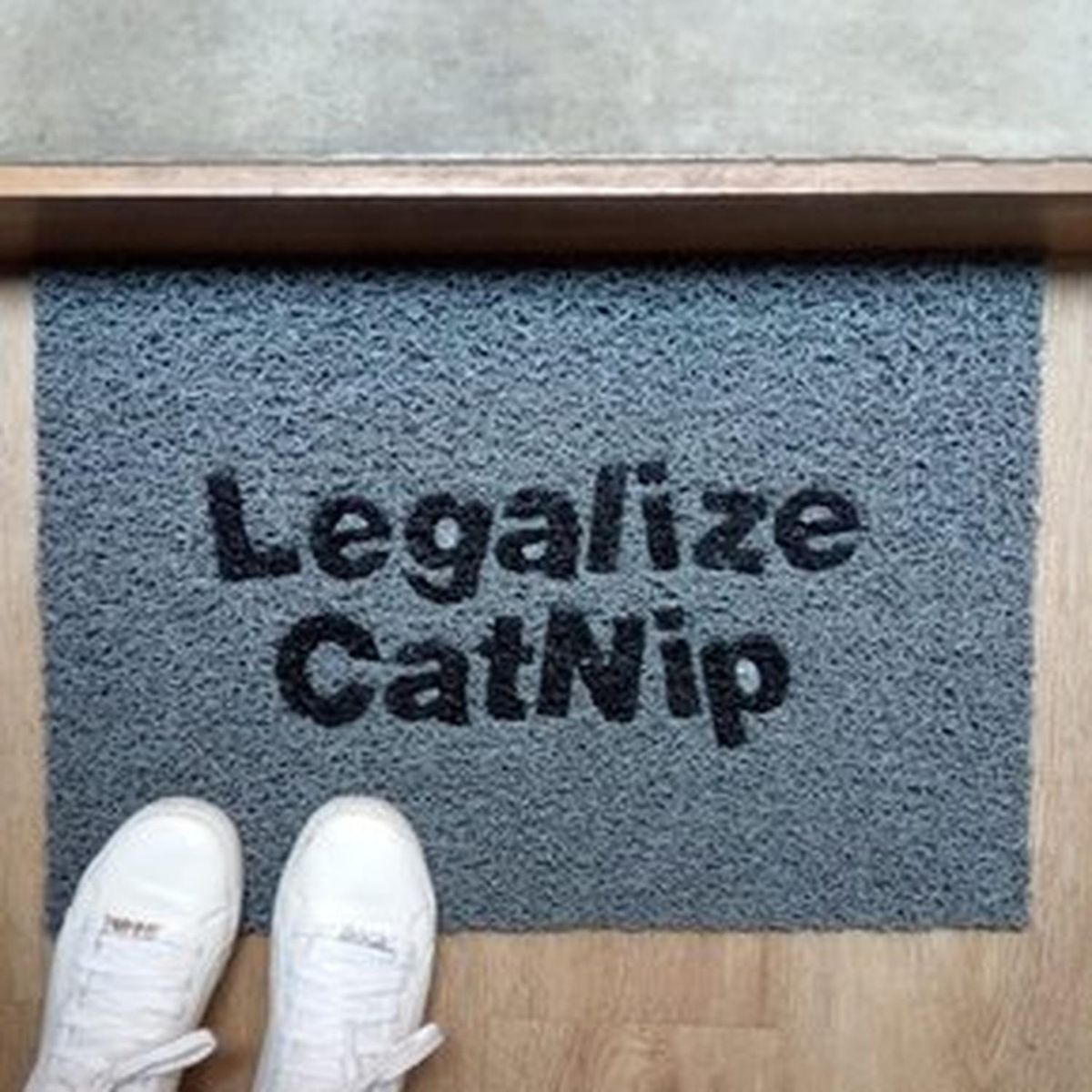 GENERICO - Tapete tipo NOMAD o Felpudo Atrapa Mugre Gris Legalize Catnip