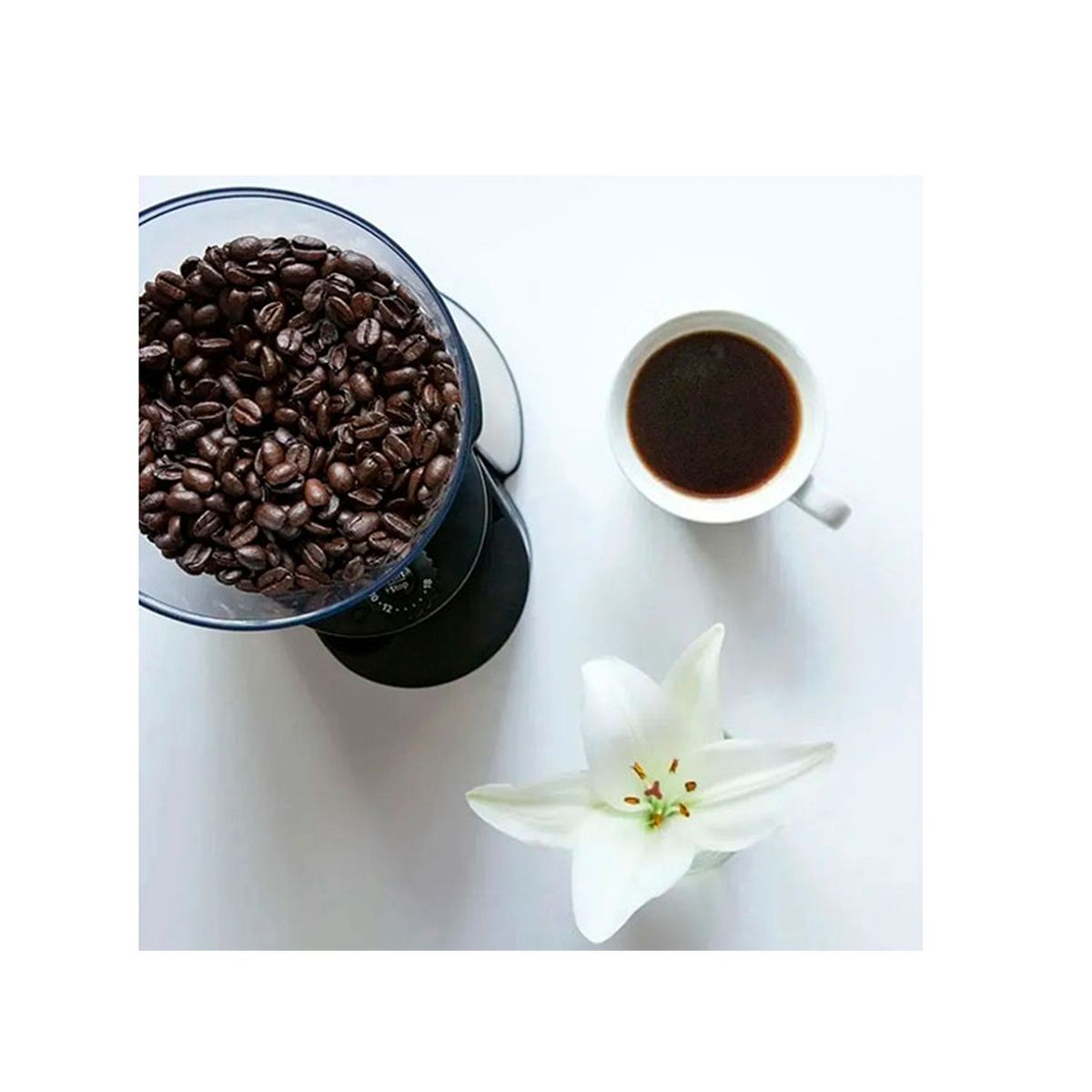 OSTER - Molinillo Automático de Café Oster BVSTBMH23