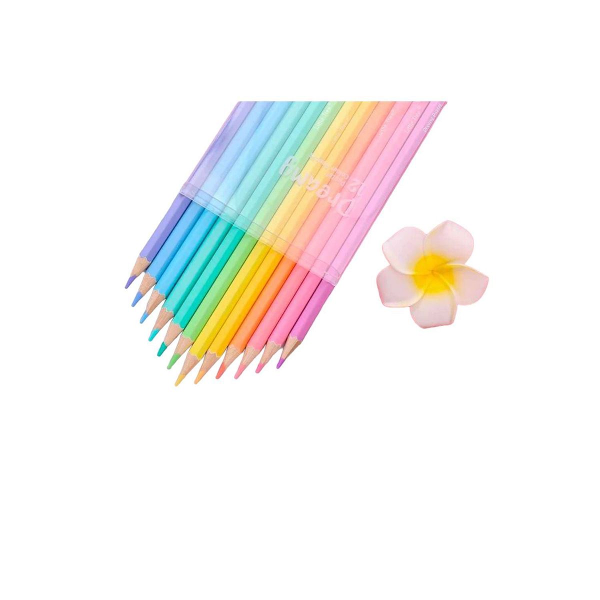 GENERICO - Pack 12 Colores Pasteles