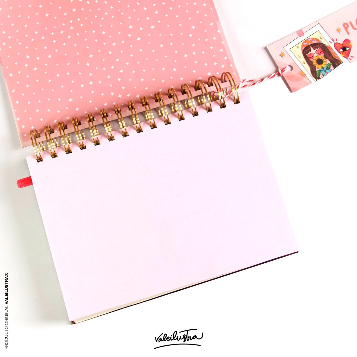 VALE ILUS TRA - Planner Diario Valeilustra