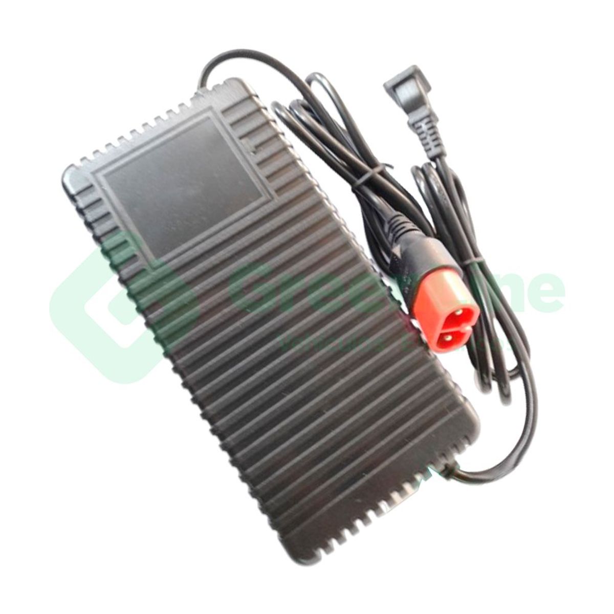 GREENLINE - Cargador bicimoto electrica Plomo VMP S2 entrada Tailg 48V2A