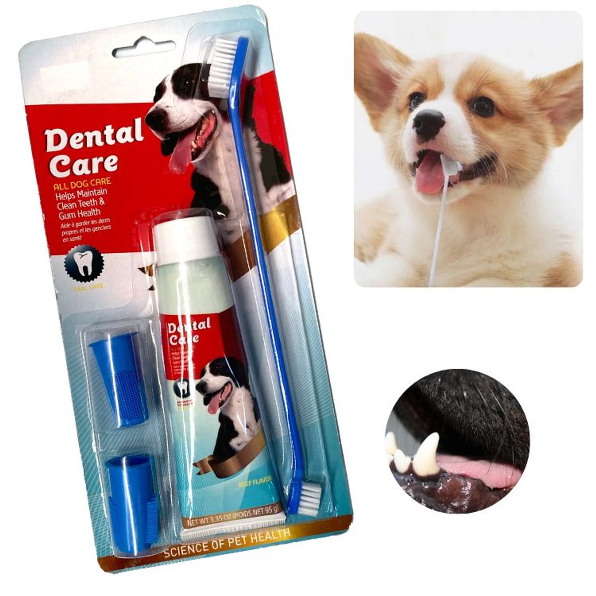 GENERICO - KIT CEPILLO DE DIENTES Y PASTA DENTAL-PERROS Y MASCOTAS
