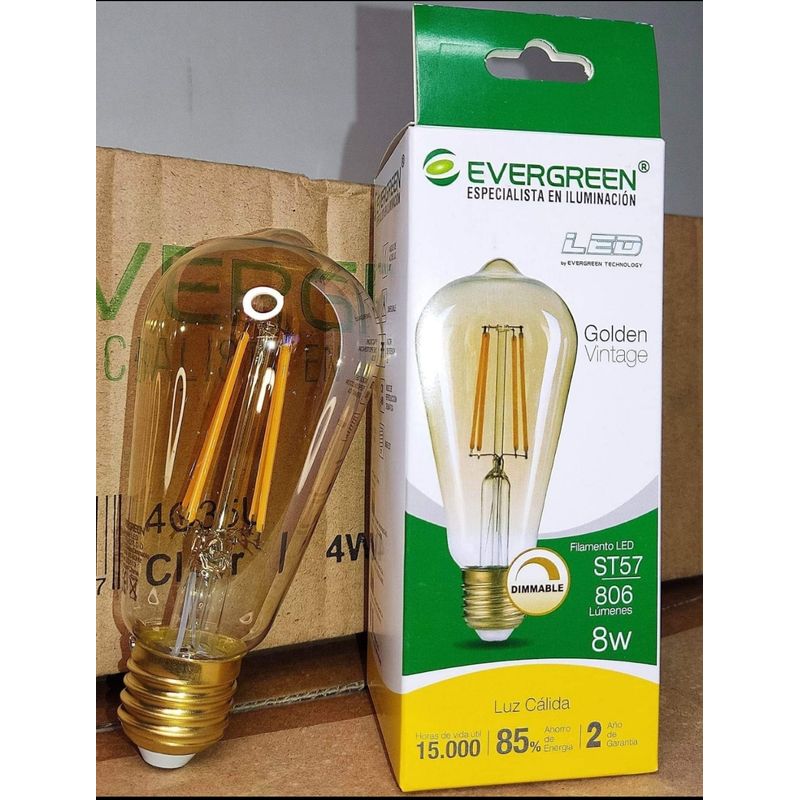 GENERICO - FOCO PERA VINTAGE ST57 8W LED DIMMABLE - EVER GREEN