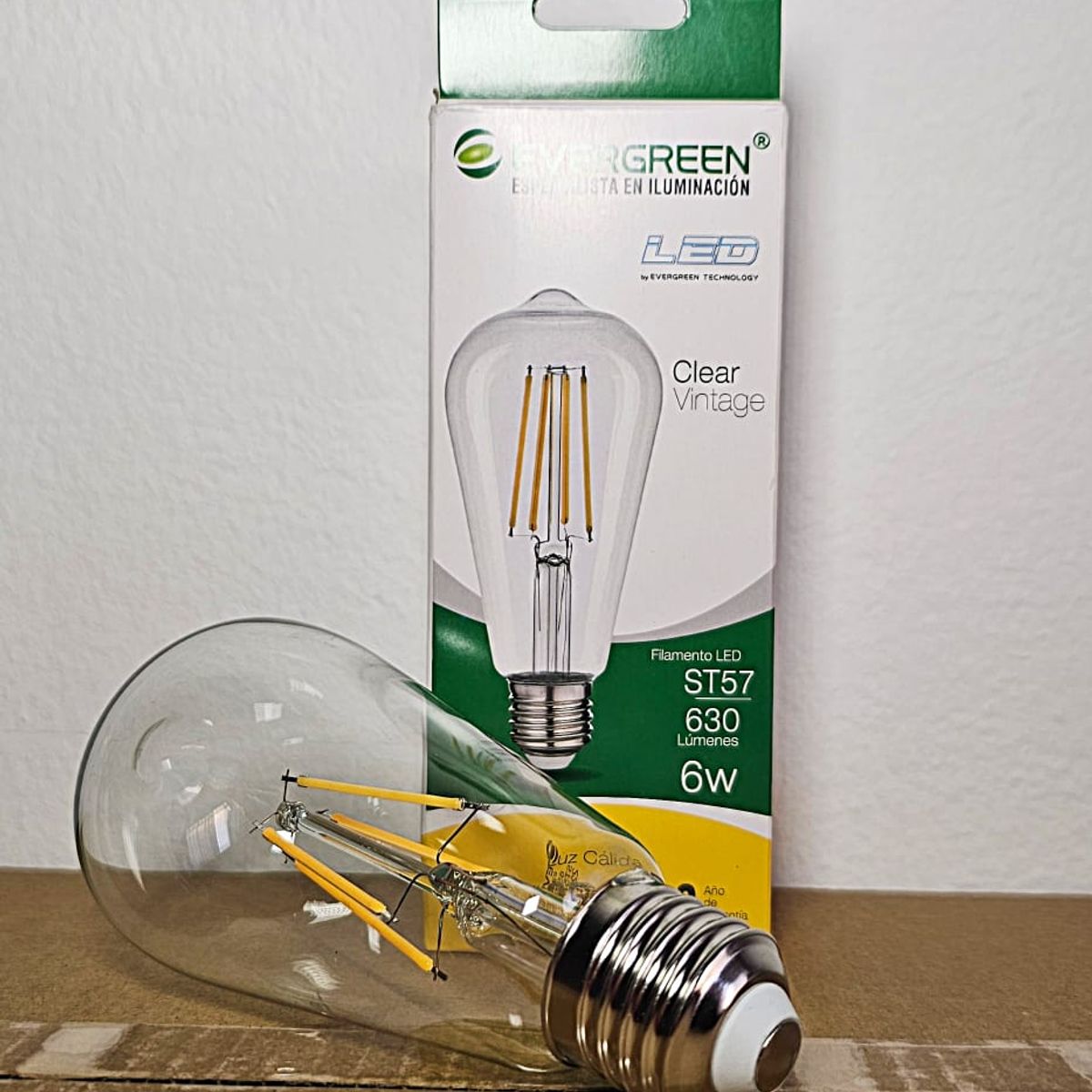 GENERICO - FOCO PERA VINTAGE ST57 6W LED -  EVER GREEN