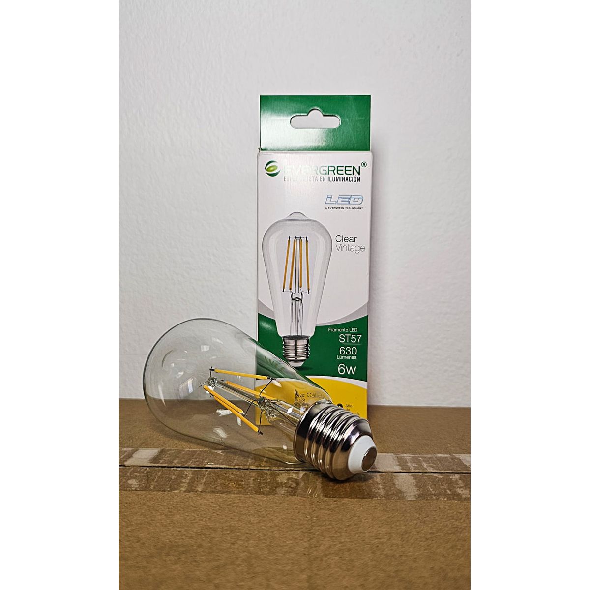 GENERICO - FOCO PERA VINTAGE ST57 6W LED -  EVER GREEN