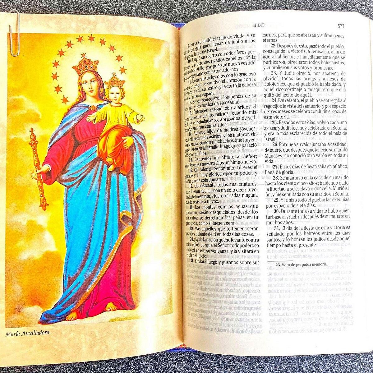 PANAMERICANA EDITORIAL - La sagrada biblia - verbum dei versión católica