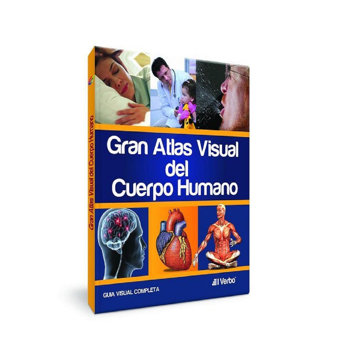 EL VERBO EDITORES - Gran atlas visual del cuerpo humano
