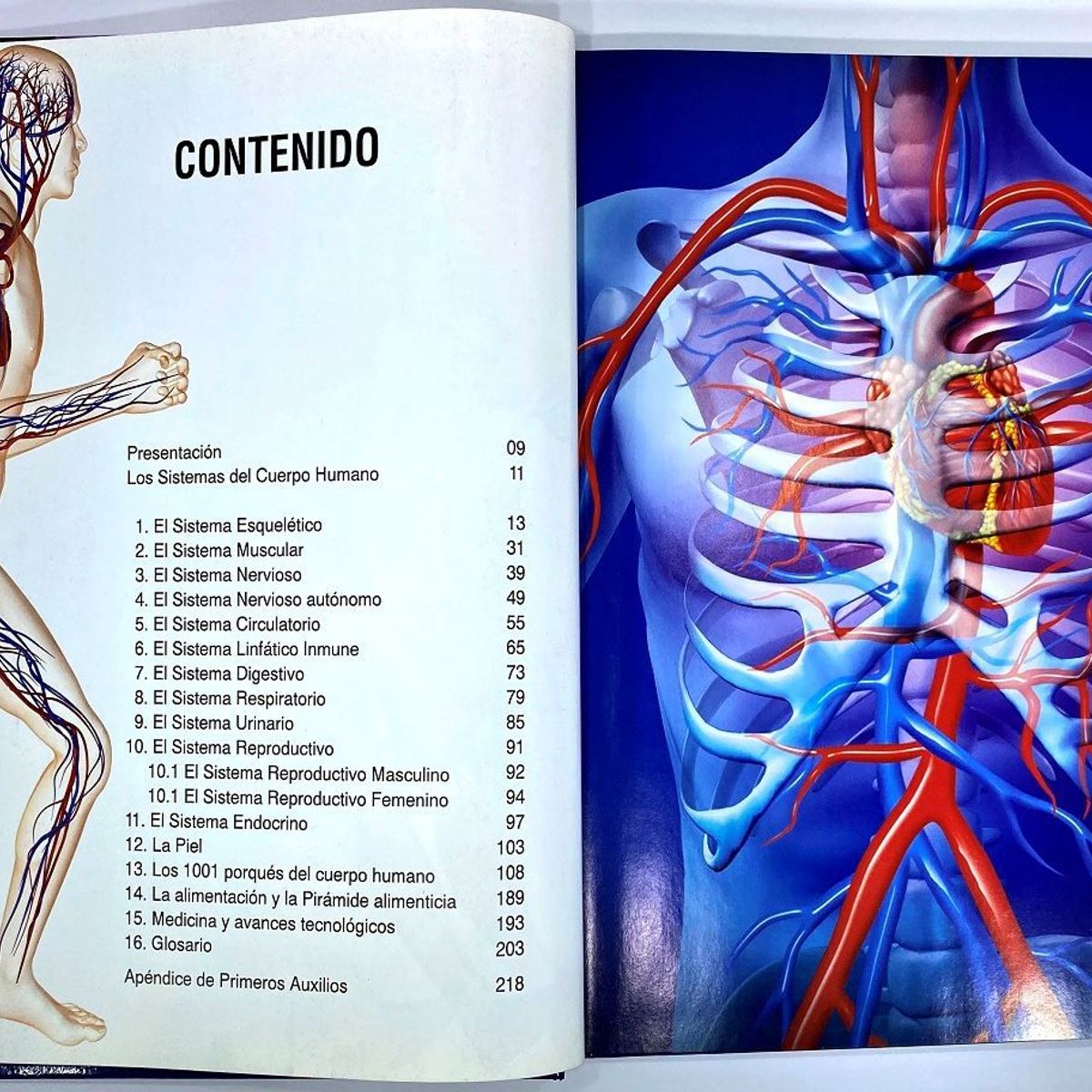 EL VERBO EDITORES - Gran atlas visual del cuerpo humano