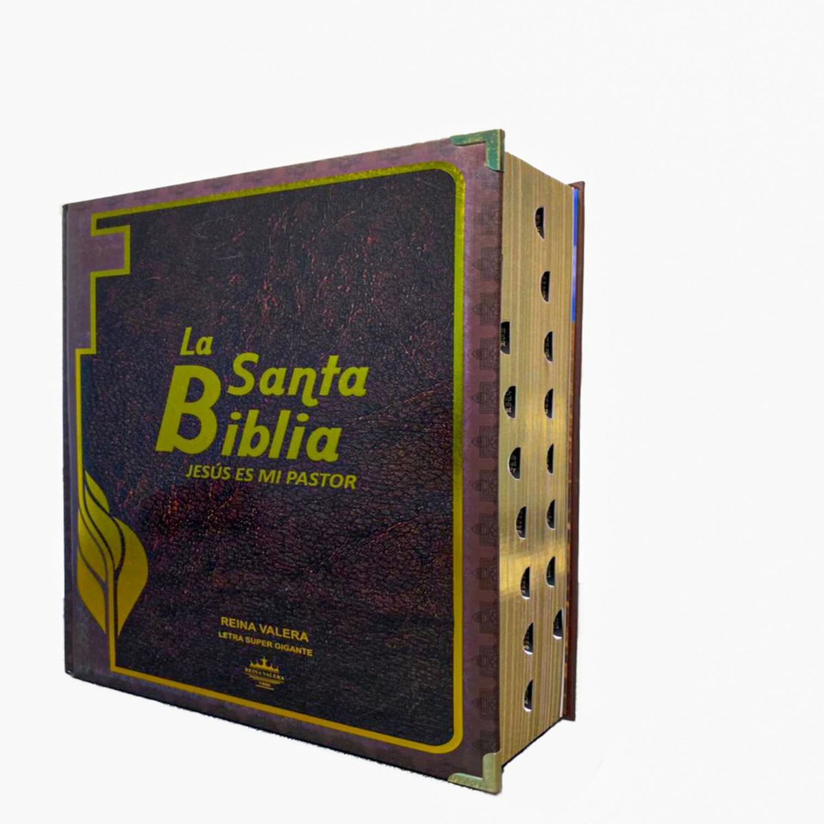 REINA VALERA - La santa biblia jesús es mi pastor reina valera letra super grande