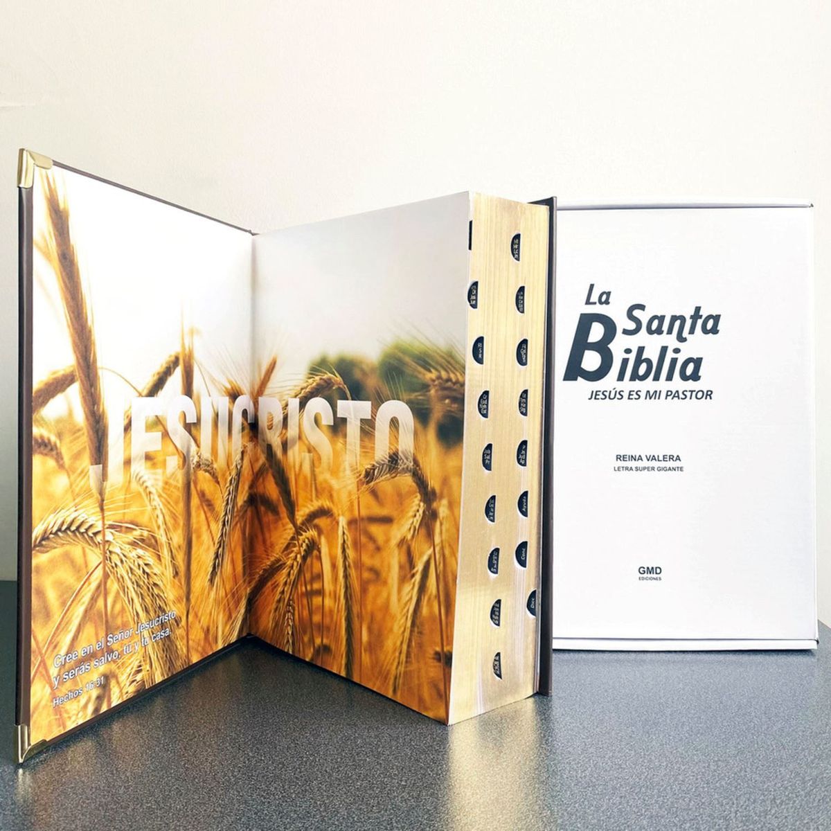 REINA VALERA - La santa biblia jesús es mi pastor reina valera letra super grande