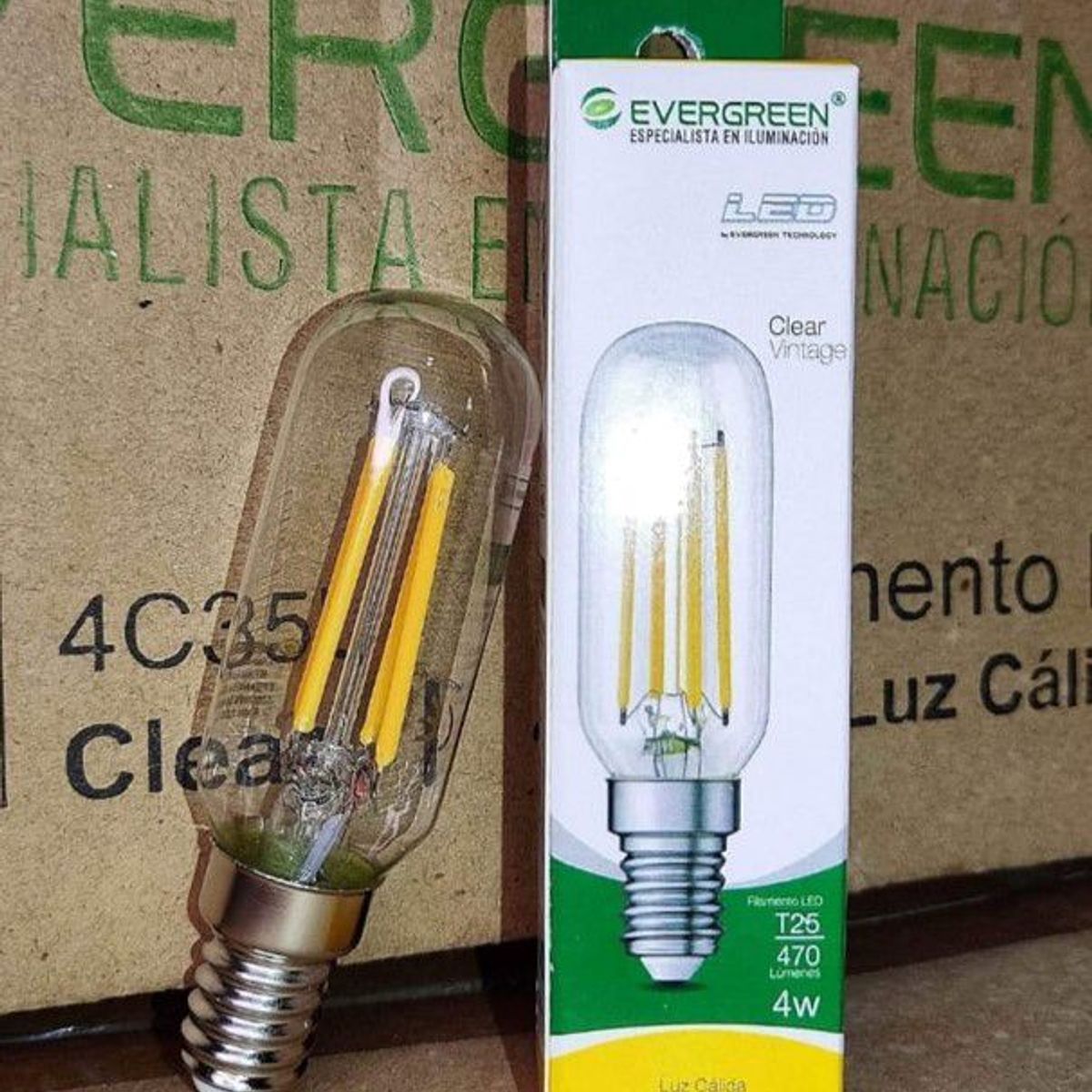 GENERICO - FOCO VINTAGE CLEAR T25 4W LED -  EVER GREEN