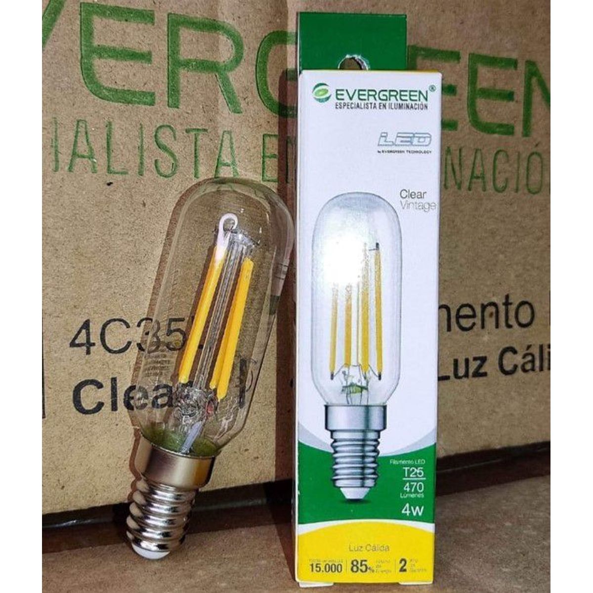 GENERICO - FOCO VINTAGE CLEAR T25 4W LED -  EVER GREEN