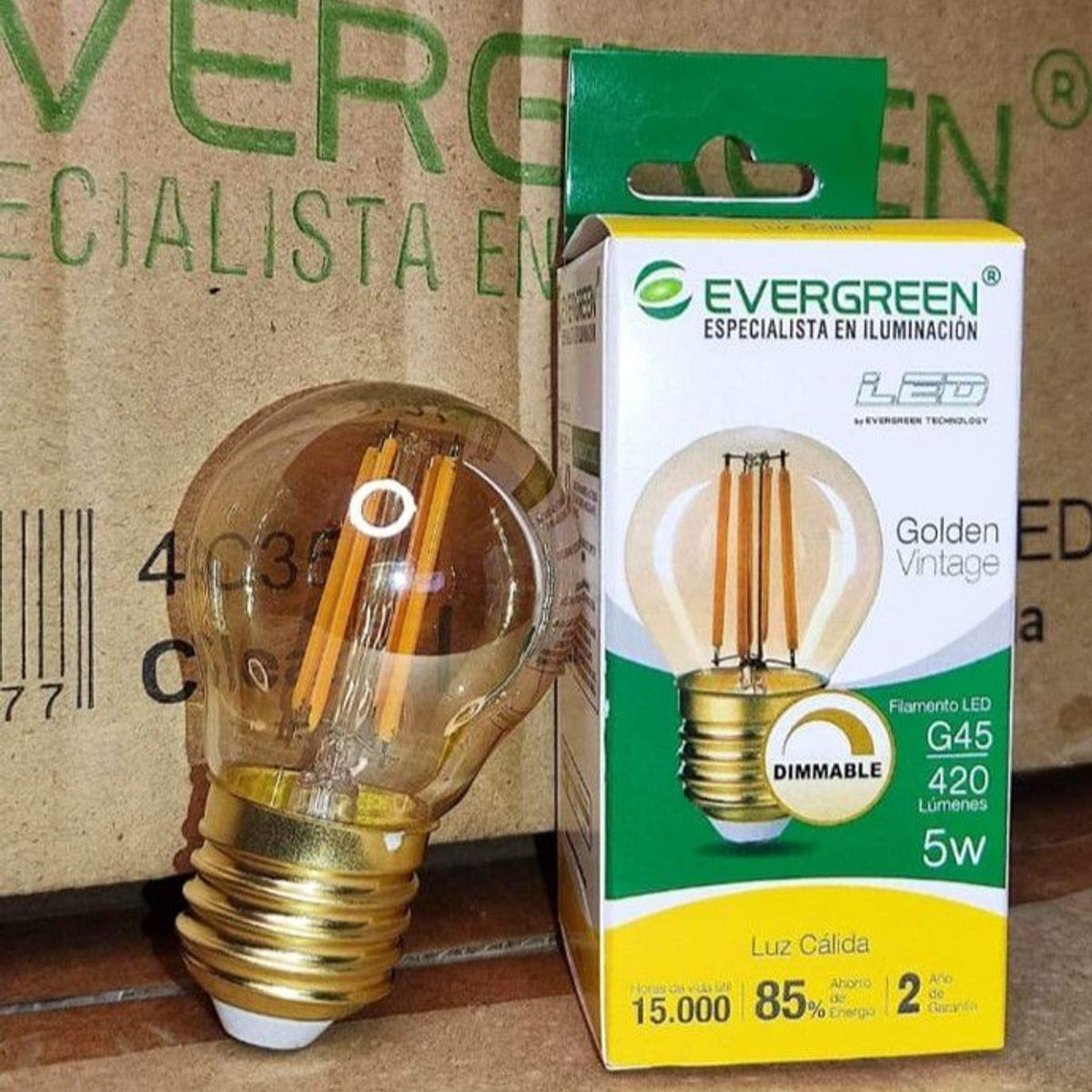 GENERICO - FOCO VINTAGE G45 5W LED DIMMABLE - EVER GREEN