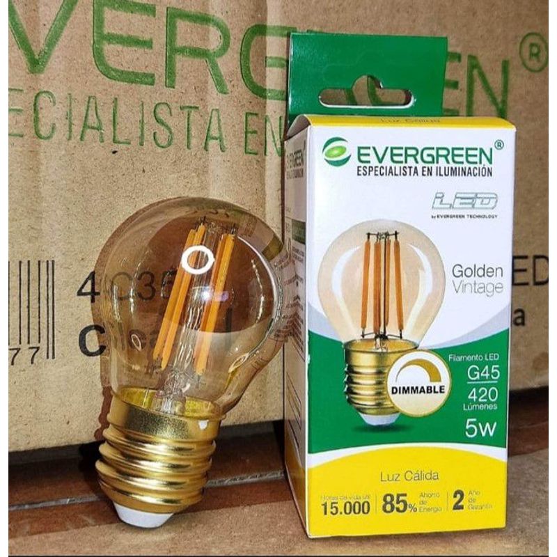 GENERICO - FOCO VINTAGE G45 5W LED DIMMABLE - EVER GREEN