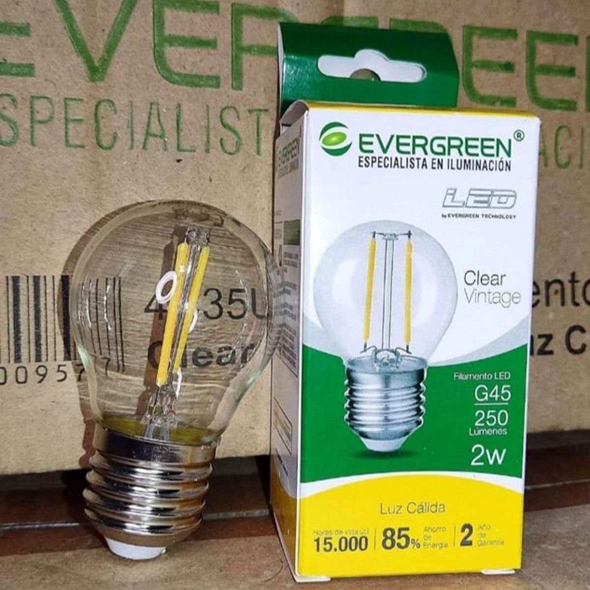 GENERICO - FOCO VINTAGE CLEAR G45 2W LED - EVER GREEN