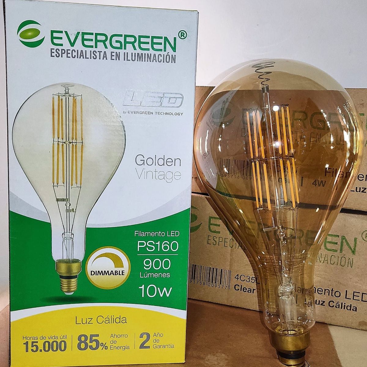 GENERICO - FOCO VINTAGE PS160 10W LED DIMMABLE - EVER GREEN