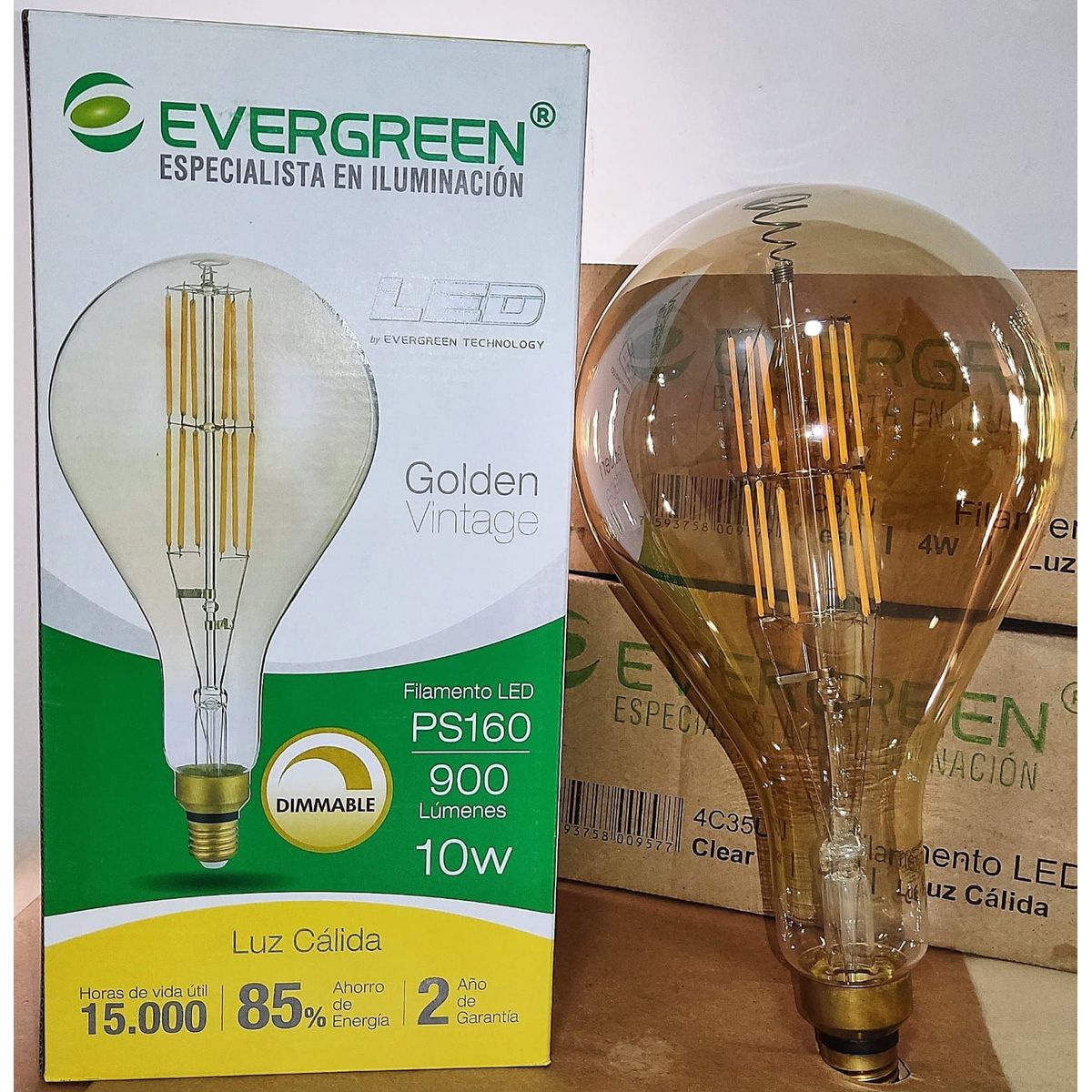 GENERICO - FOCO VINTAGE PS160 10W LED DIMMABLE - EVER GREEN