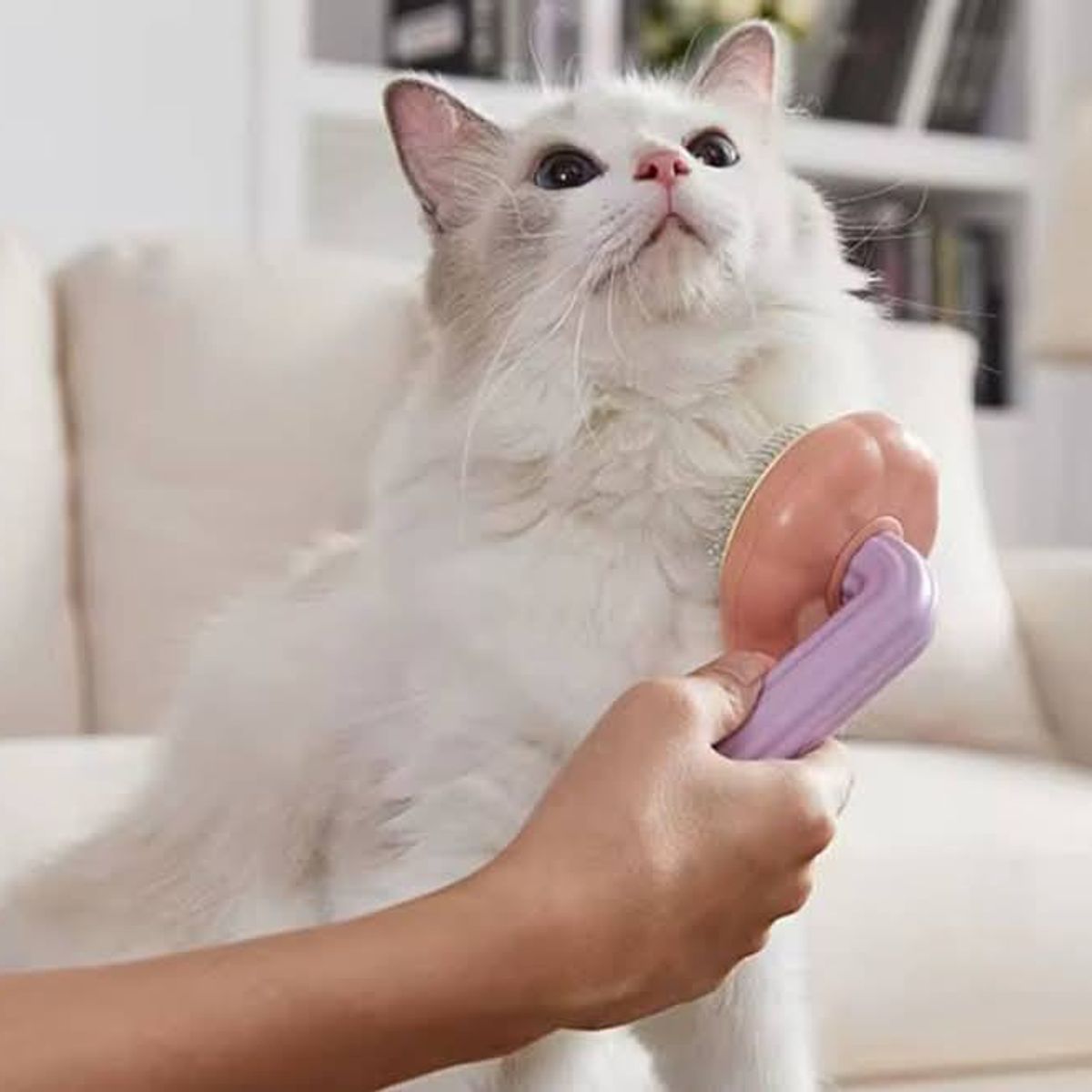 GENERICO - Peine Cepillo para perros y gatos con Expulsador de Pelos- Rosado