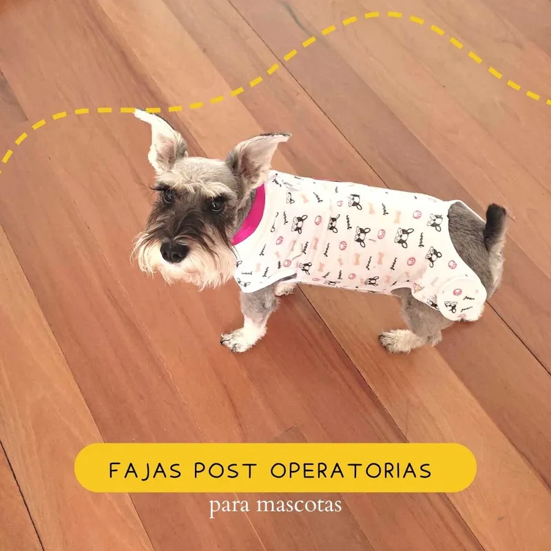 GENERICO - Faja Post Operatoria para Hembra - L 50-56 cm