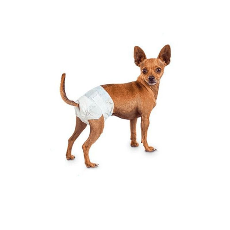GENERICO - Pañales desechables para mascotas perro hembra talla XS