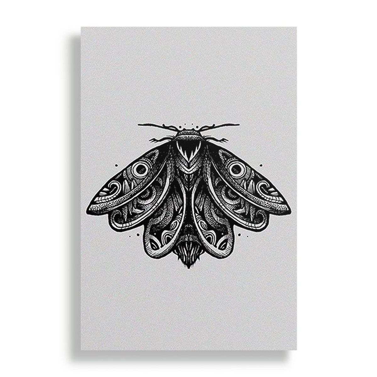 KUSTOMIT - Cuadro Decorativo Aluminio 20x30 - Polilla