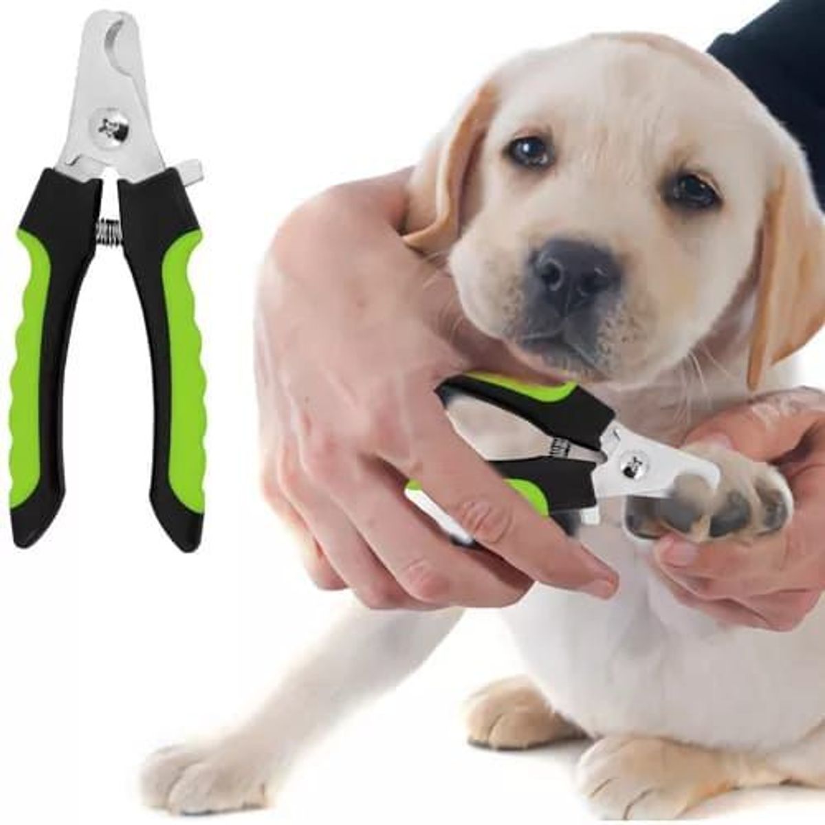 GENERICO - CORTA  UÑAS  PARA  PERROS COLOR VERDE