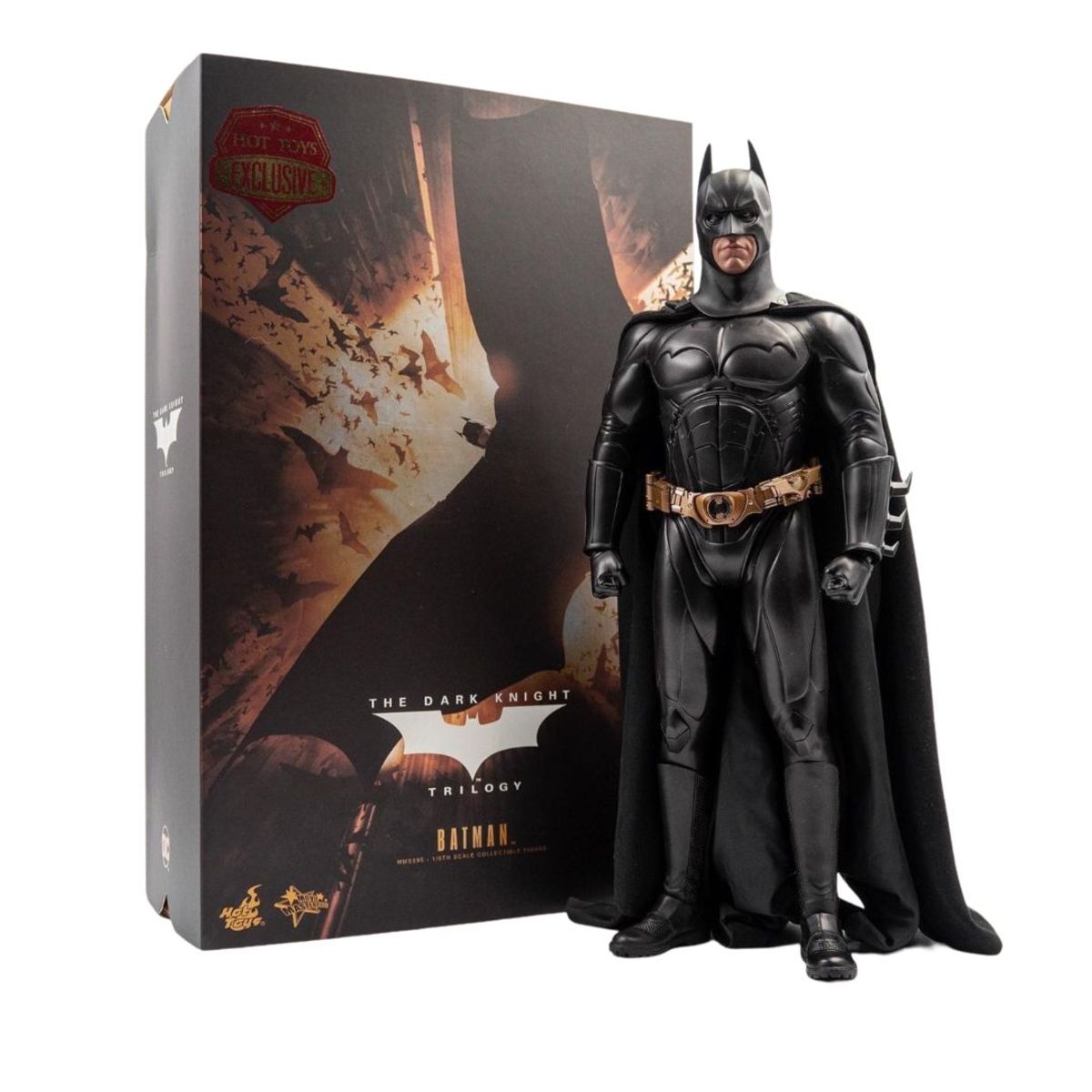 HOT TOYS - Batman Begins The Dark Knight Hot Toys