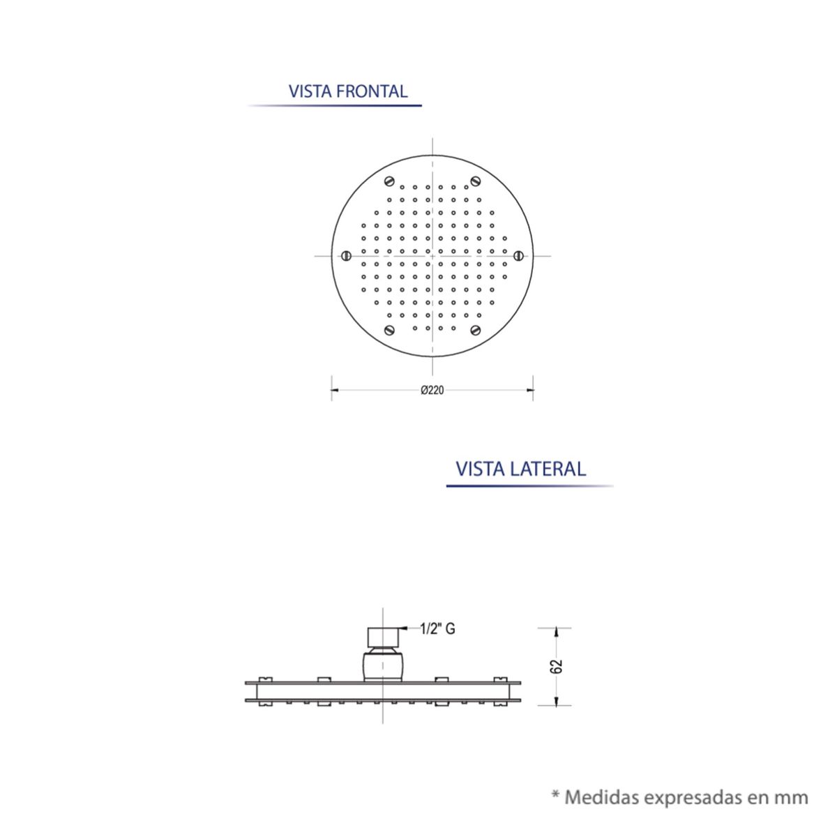 FUNDICION PACIFICO - Regadera Fundición Pacífico Modelo GO-Lux Anticalcárea