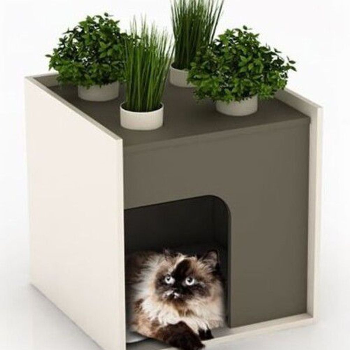 GENERICO - Casa para Gatos - Cat House Tiziano