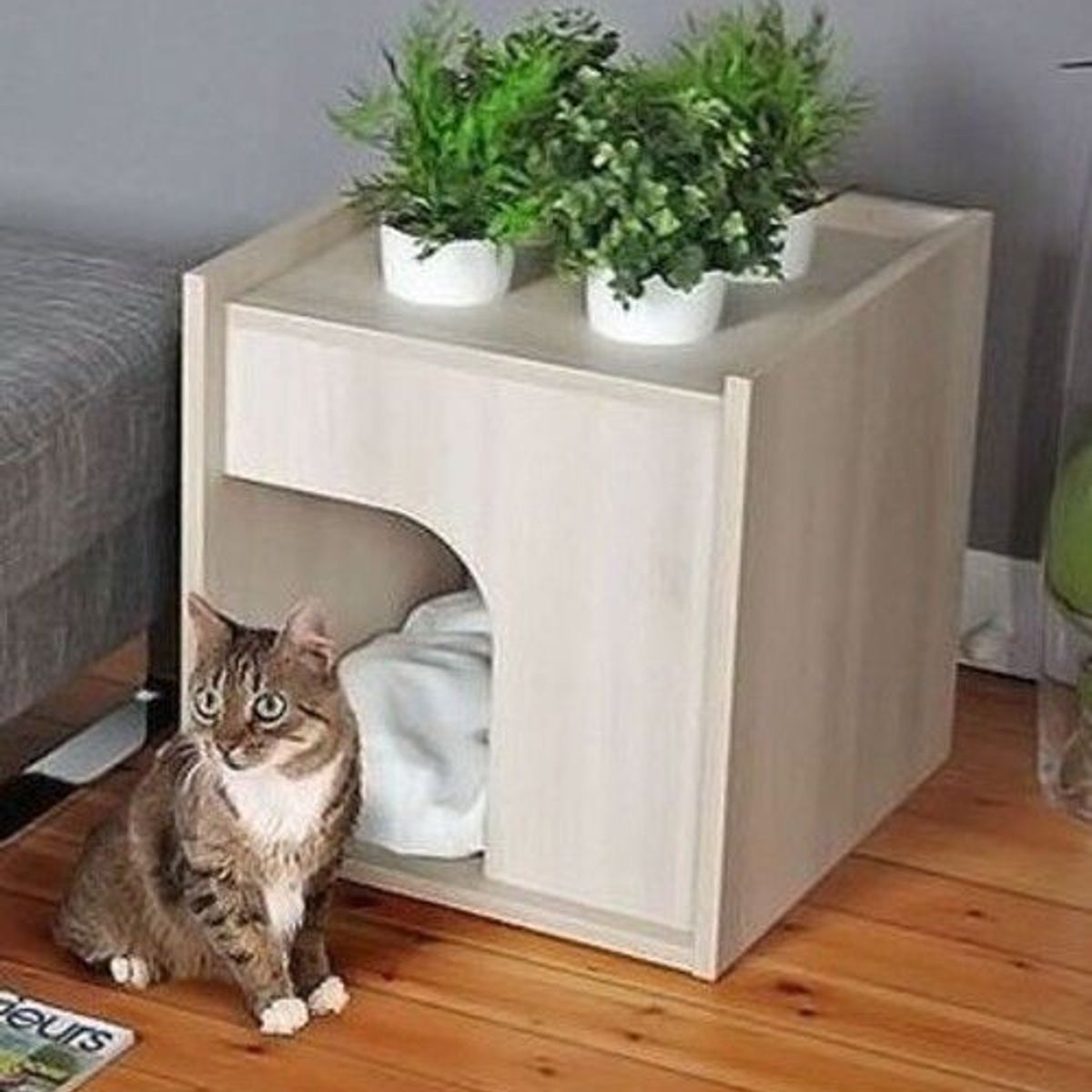 GENERICO - Casa para Gatos - Cat House Figaro