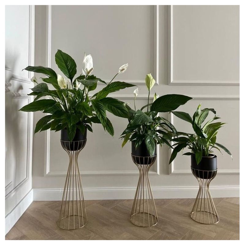 VENTITAS HOME - Set 3 Macetas Renacentistas Rosé Ventitas Home Negro