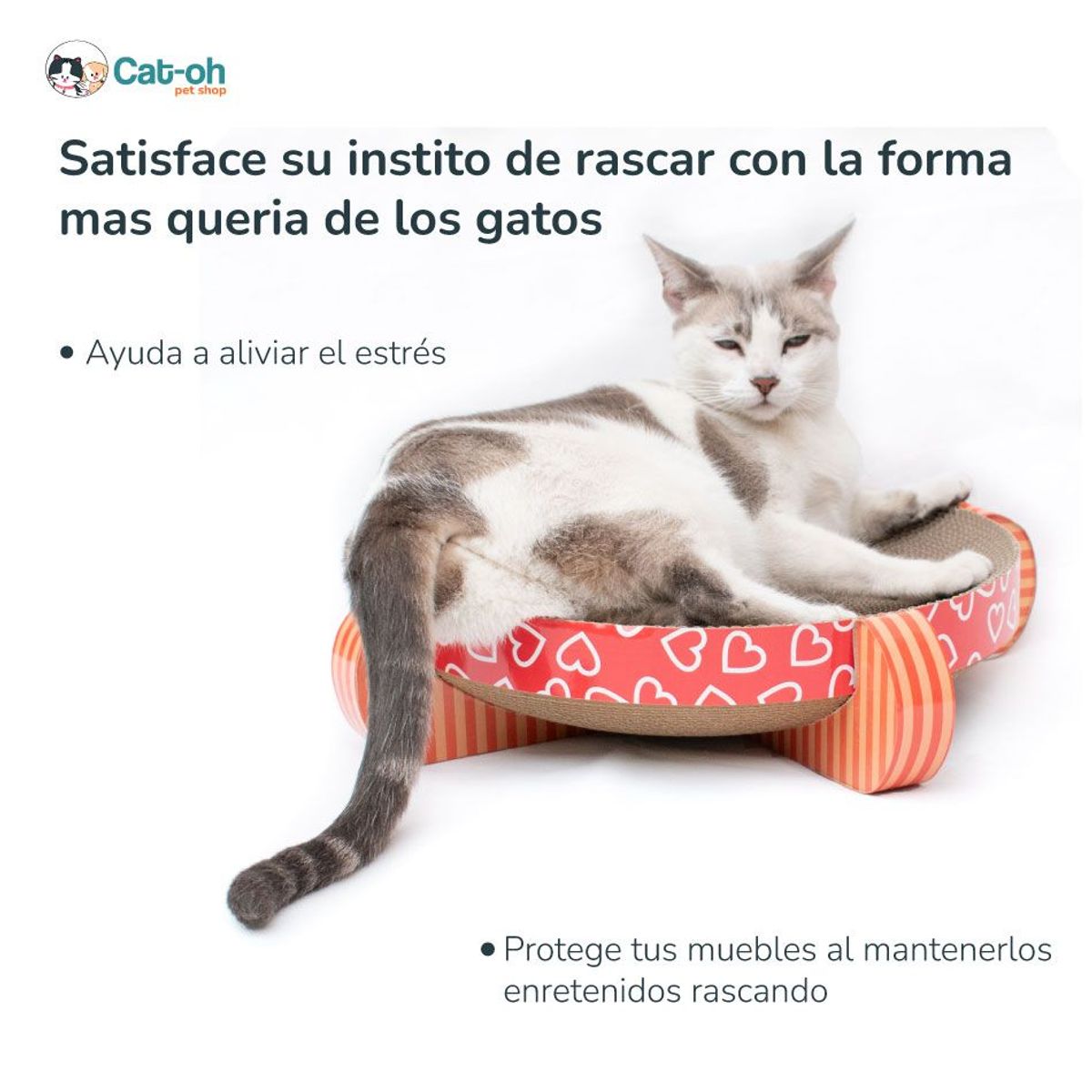 CAT OH - Rascador circular UFO love