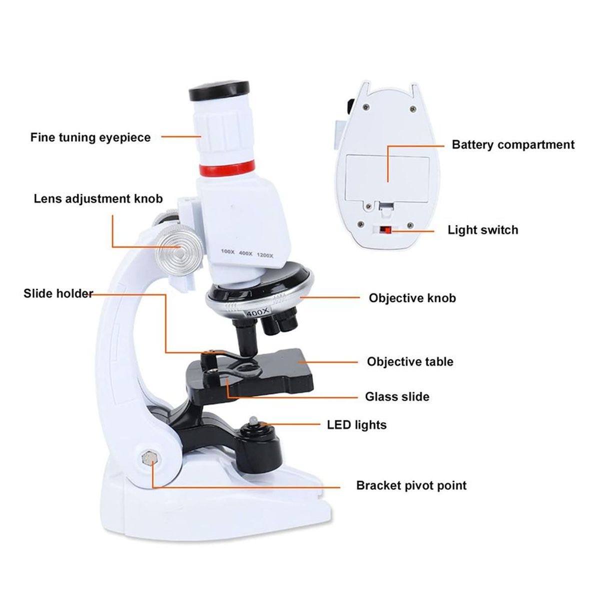 GENERICO - Microscopio Basico Educativo Infantil 3 niveles de Zoom