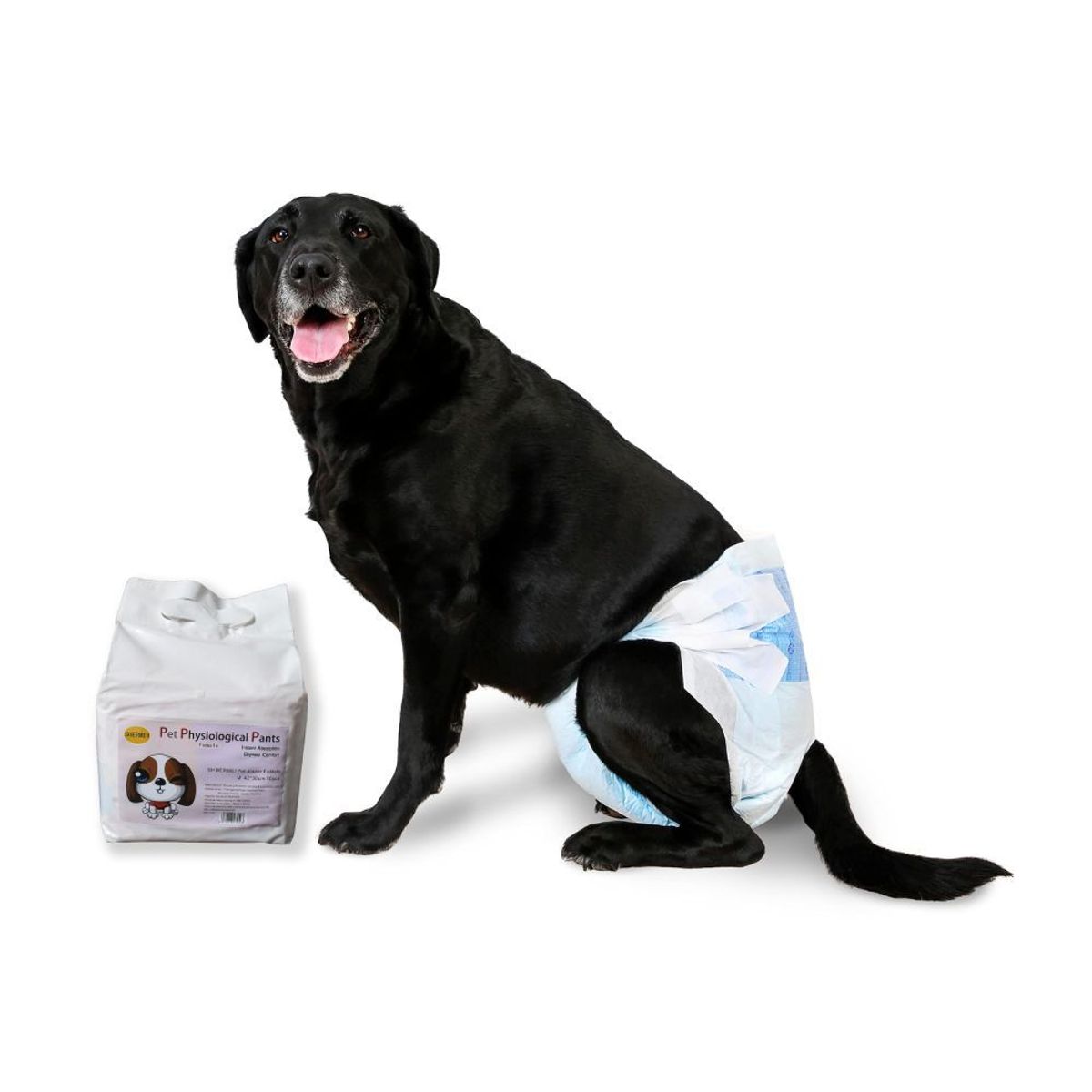 GENERICO - Pañales Desechables Para Perra Hembra XL