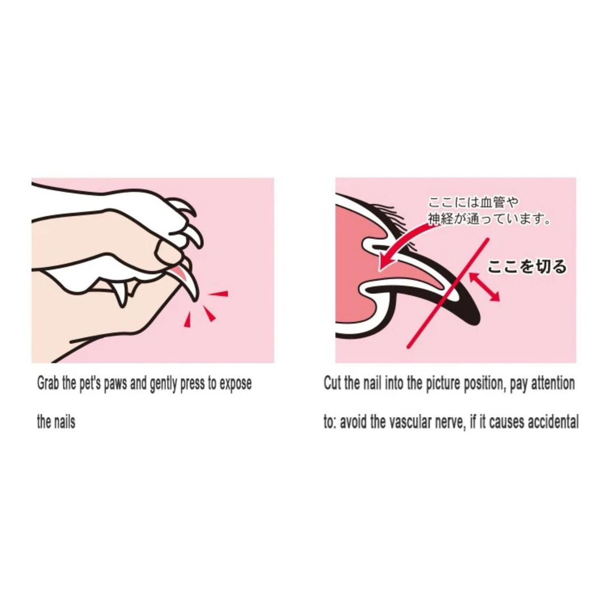 GENERICO - Packx2 Corta Uñas o Garra Para Gatos - Rojo - 1