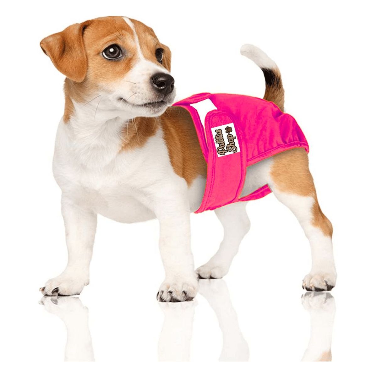 GENERICO - Pañal de Incontinencia Reutilizable Ecológico Para Hembra XS