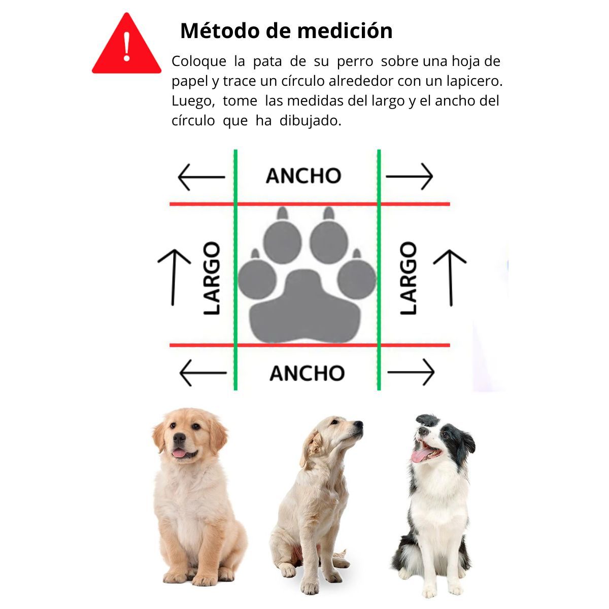 GENERICO - ZAPATOS IMPERMEABLES PARA PERROS Y MASCOTAS AZULINO-L