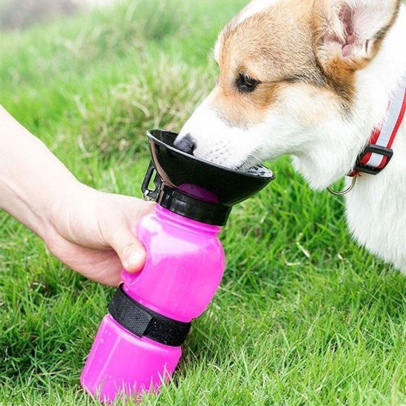 GENERICO - Toma todo Portátil para mascotas  - Aqua Dog - 500 ml