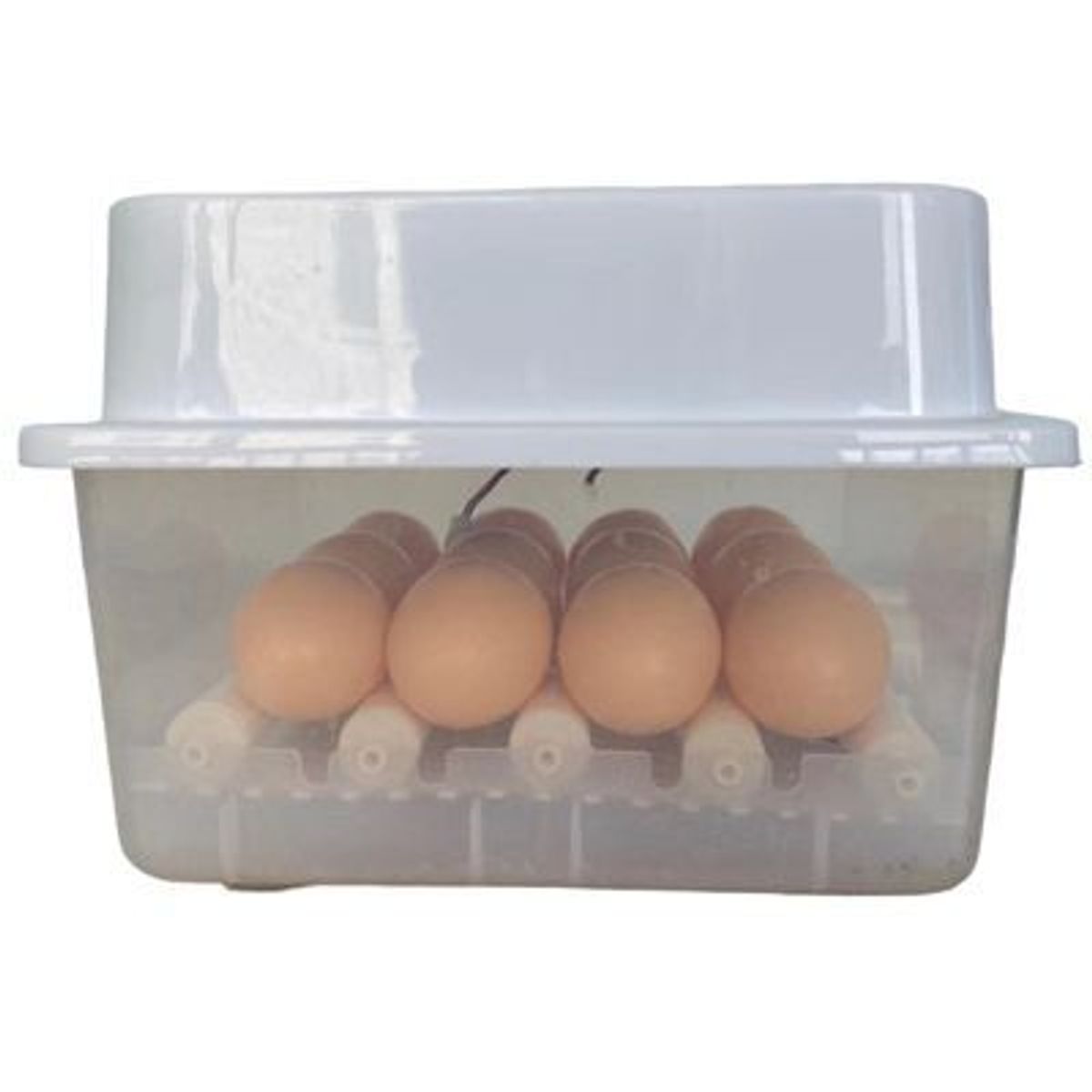 GENERICO - Incubadora Automática Para 12 Huevos Dual