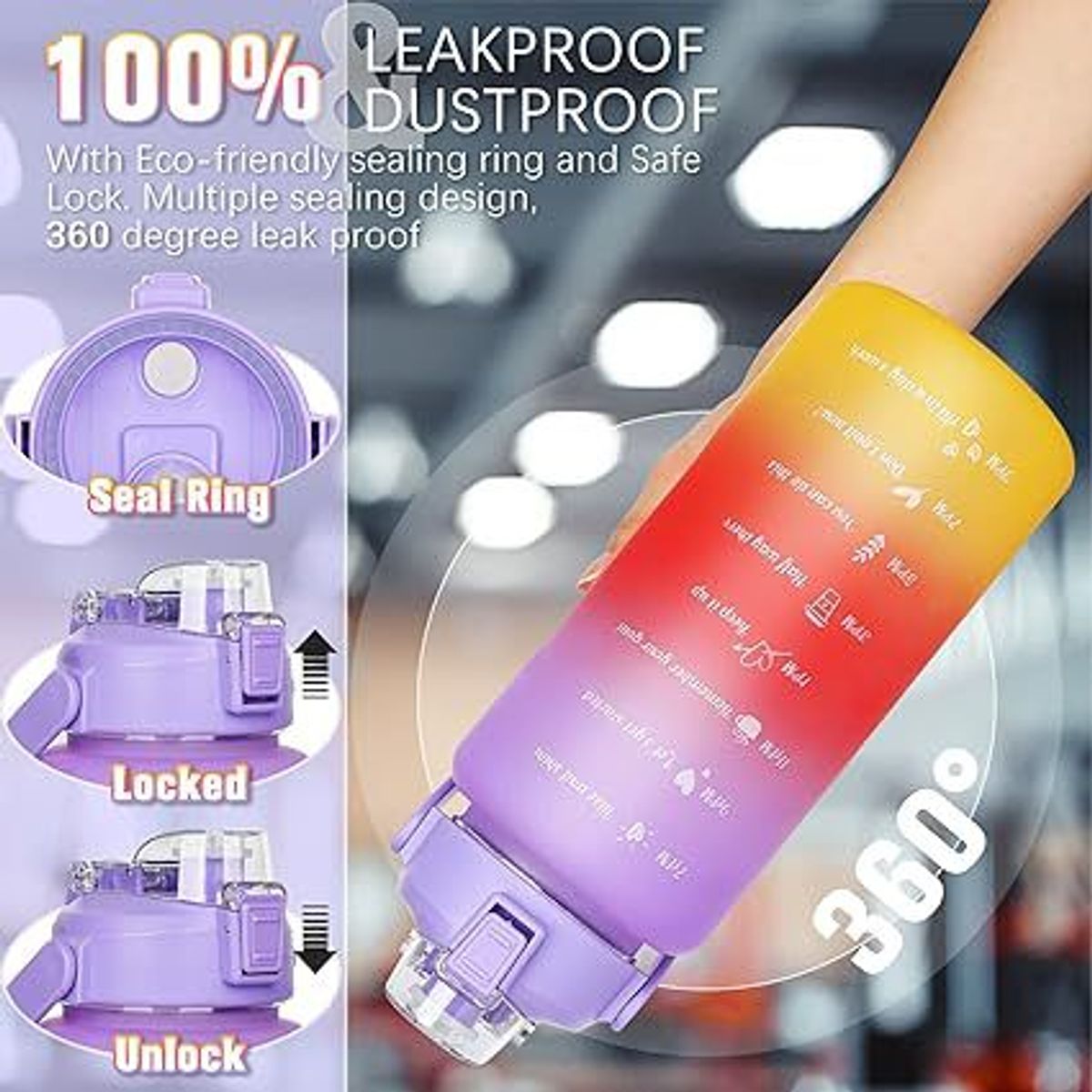 GENERICO - Set de 3 tomatodos motivacional trio deportivo+ stickers Morado