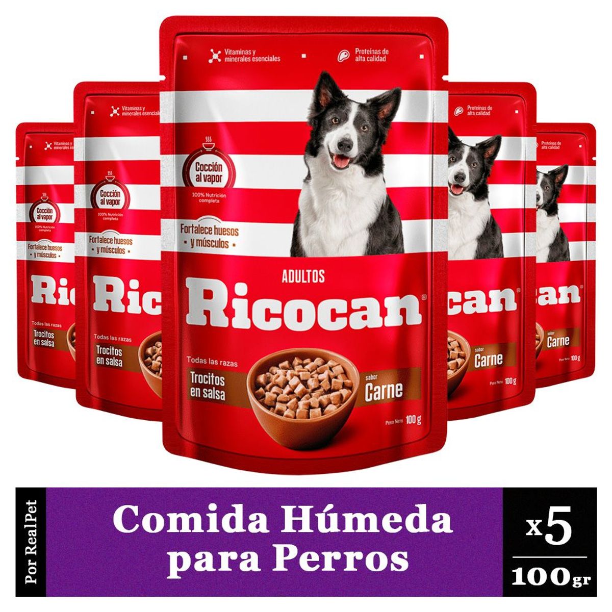 GENERICO - Pack x5 Comida Húmeda Perro Ricocan Trocitos de Carne 100gr