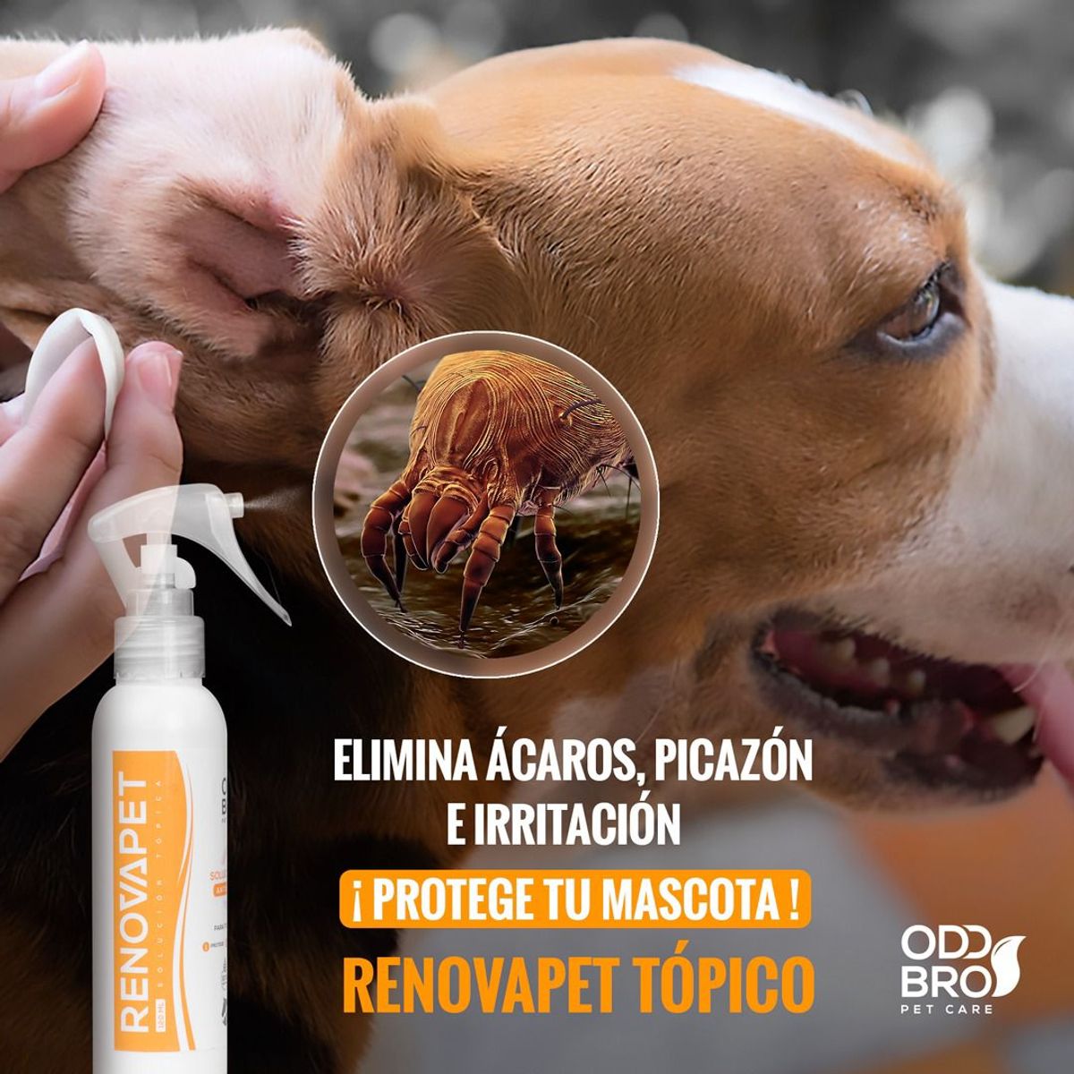 GENERICO - renovapet topico para mascota