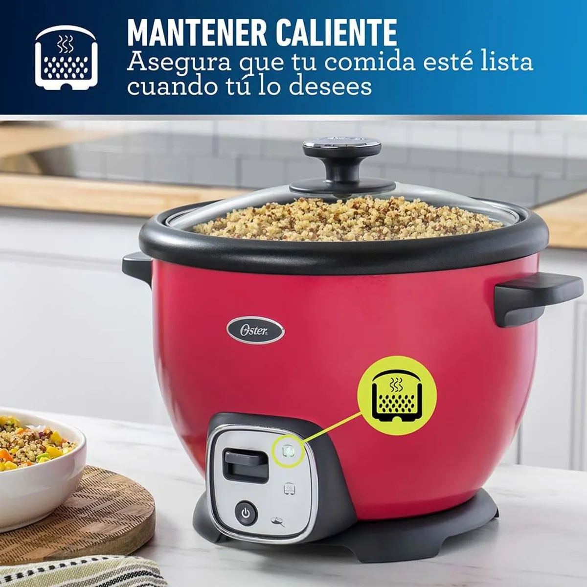 OSTER - Duo sandia Oster Arrocera CKSTRC8029M + Licuadora BLSTKAG MPB